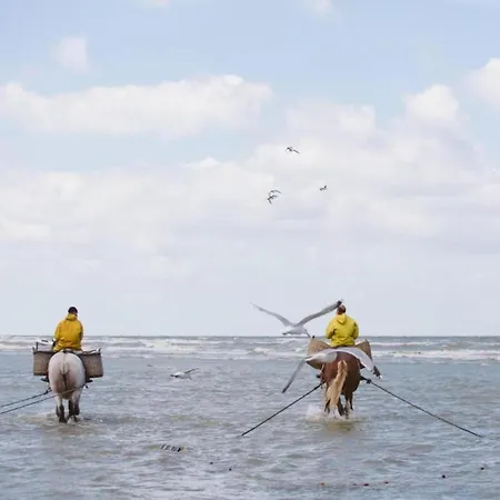 On Belgian Coast With Sea Views Apartmán *