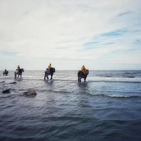 On Belgian Coast With Sea Views